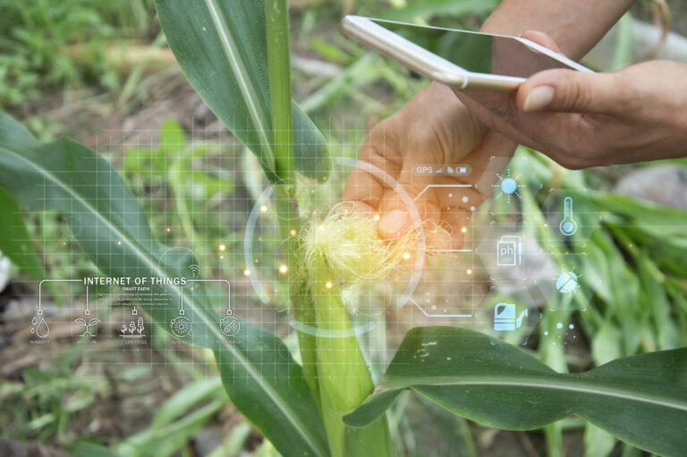 The concept of using AI and smart farming.