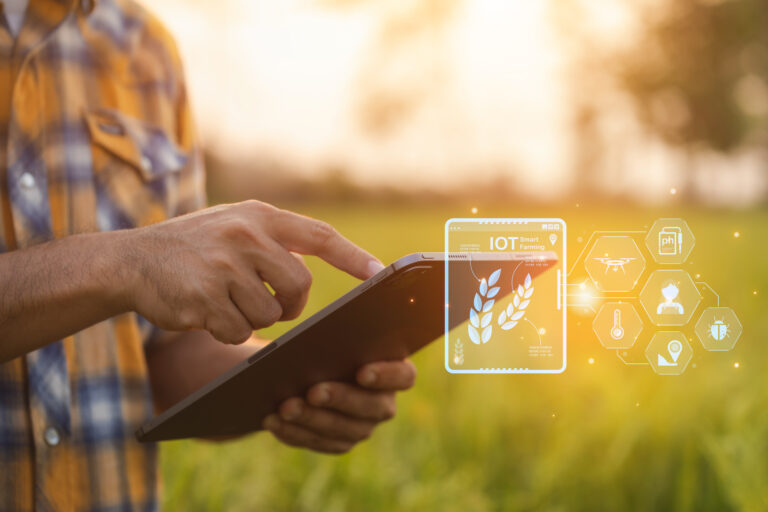 Farmers use tablet computers to check their fields. They are used for planning, care and post-planting analysis. Agricultural technology concepts.